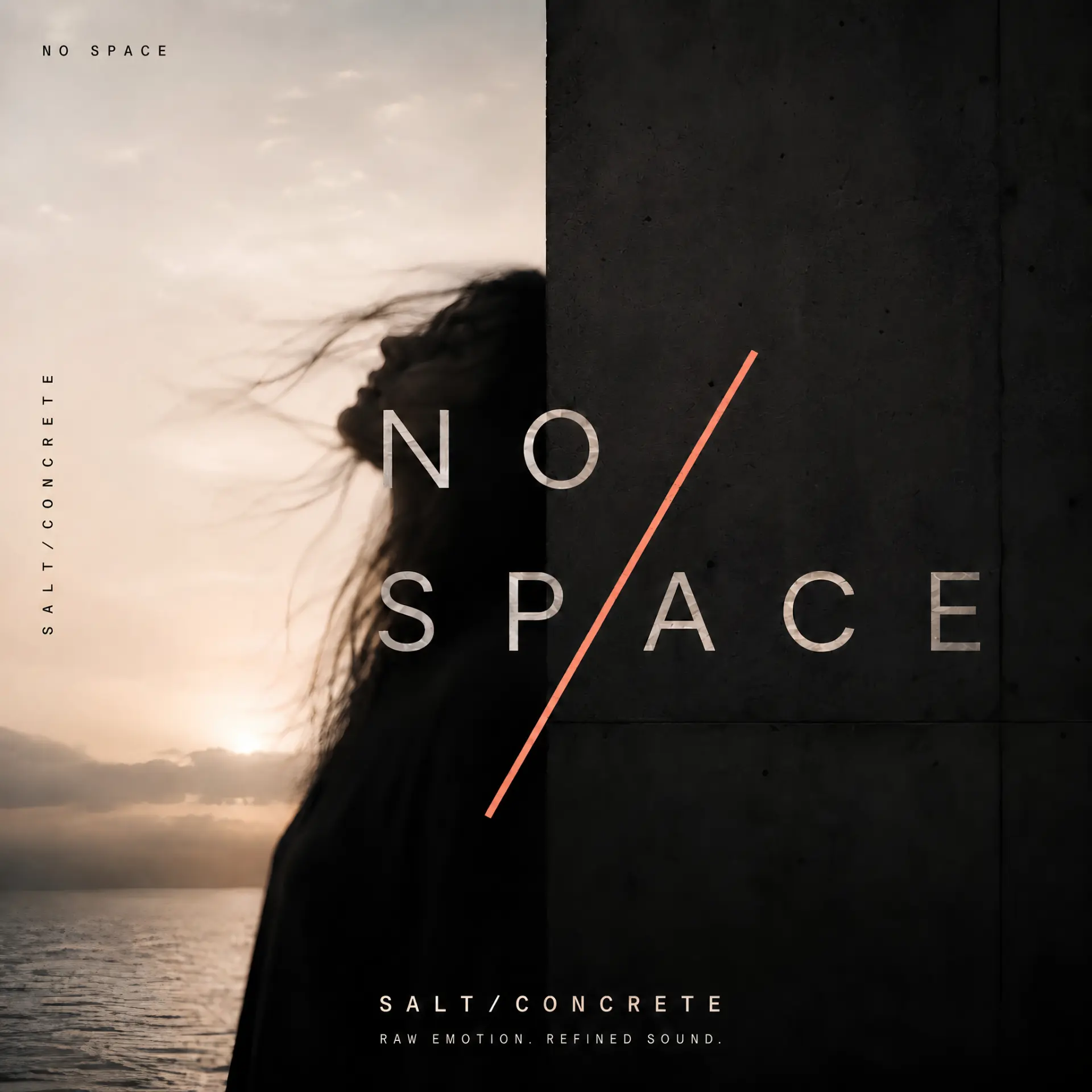 No Space cover artwork